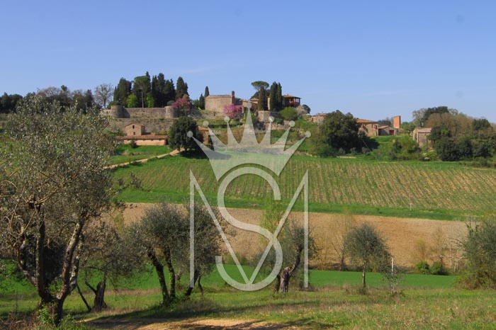 Rural estate for sale in Siena, Tuscany